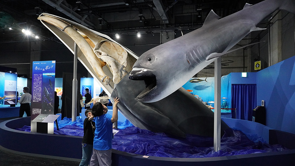 【体験レポート】名古屋市科学館で特別展「海 ―生命のみなもと―」が開催中
