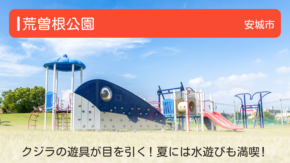 【荒曽根公園】愛知県安城市の公園 クジラの遊具が目を引く！夏には水遊びも満喫！