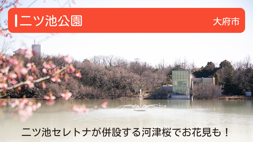 【二ツ池公園】愛知県大府市の公園　二ツ池セレトナが併設する河津桜でお花見も！