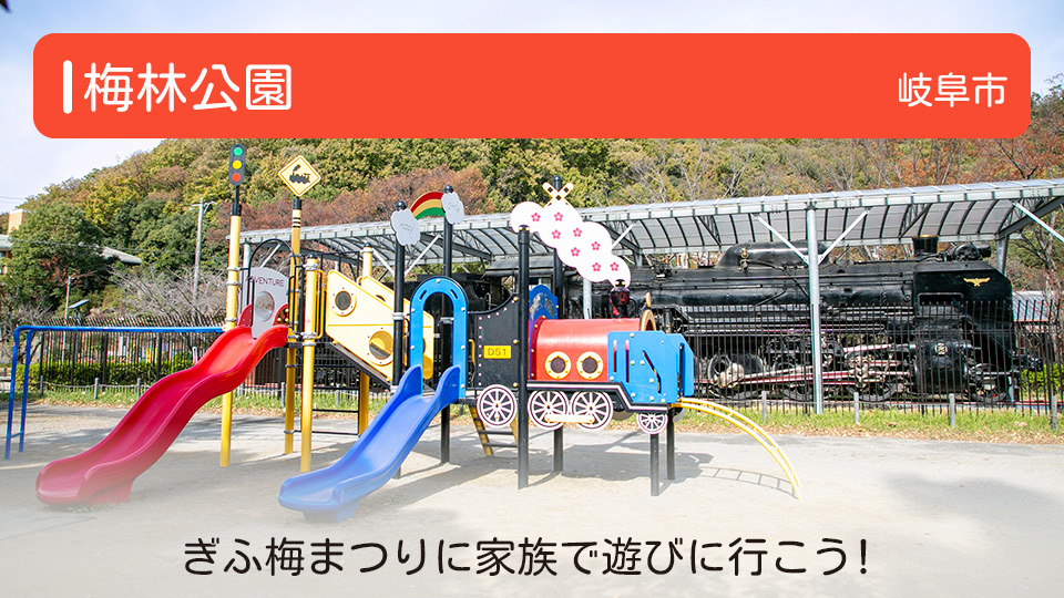 【梅林公園】岐阜県岐阜市の公園 ぎふ梅まつりに家族で遊びに行こう！