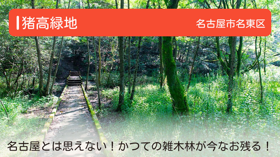 【猪高緑地】愛知県名古屋市名東区にある公園　名古屋とは思えない！かつての雑木林が今なお残る！