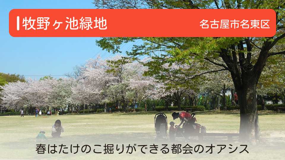 【牧野ヶ池緑地】愛知県名古屋市名東区の公園　春はたけのこ掘りができる都会のオアシス