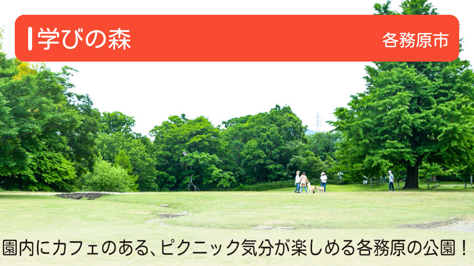【学びの森】岐阜県各務原市の公園 遊具なし！？ 芝生広場やビオトープ池でピクニック気分を楽しもう！ 