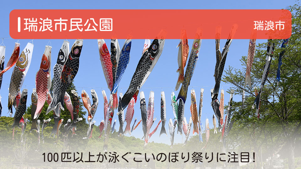 【瑞浪市民公園】岐阜県瑞浪市の公園 100匹以上が泳ぐこいのぼり祭りに注目！