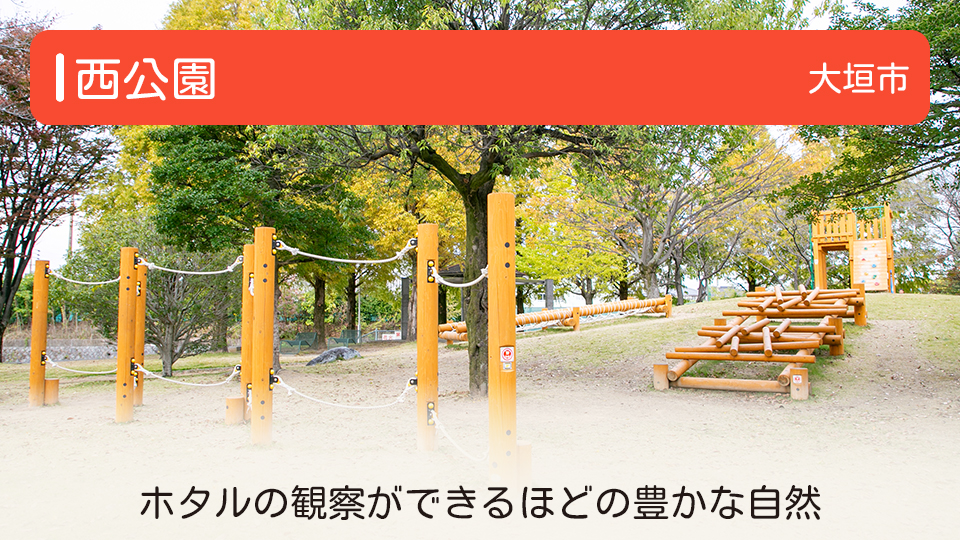 【西公園】岐阜県大垣市の公園 ホタルの観察ができるほどの豊かな自然