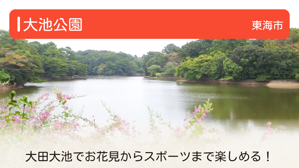 【大池公園】愛知県東海市の公園　お花見からスポーツまで楽しめる