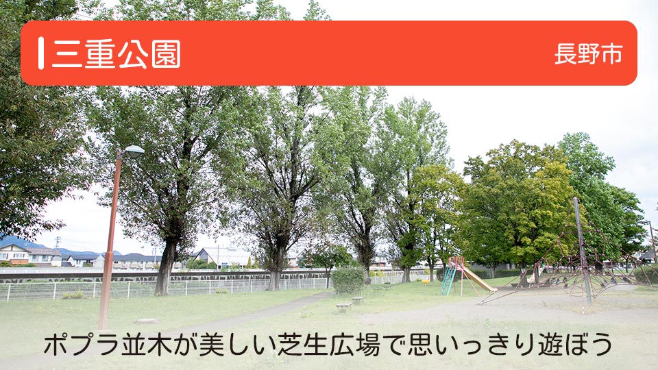 【三重公園】長野県長野市の公園 ポプラ並木が美しい芝生広場で思いっきり遊ぼう