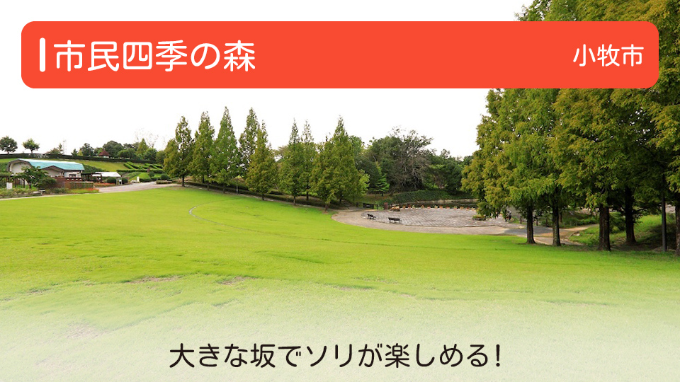【市民四季の森】愛知県小牧市の公園 大きな坂でソリが楽しめる！道具レンタルも可！