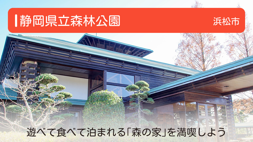 【静岡県立森林公園】静岡県浜松市の公園 遊べて食べて泊まれる「森の家」を満喫しよう
