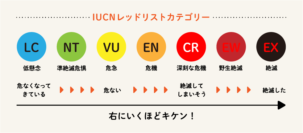 IUCNレッドリストカテゴリー